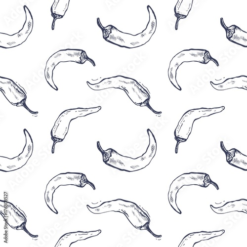 Chilly pepper, chilli Vector hand drawn vector illustration. Fresh organic vegetable, hot pepper in engraved style. Detailed food drawing.