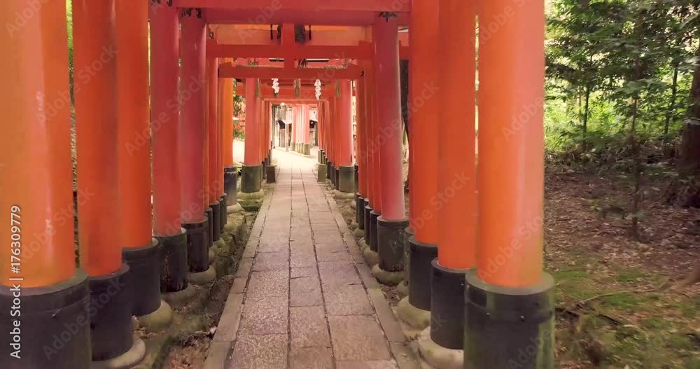 Walking through Red Torii Gates, Kyoto Walking through Red Torii Gates, Kyoto
