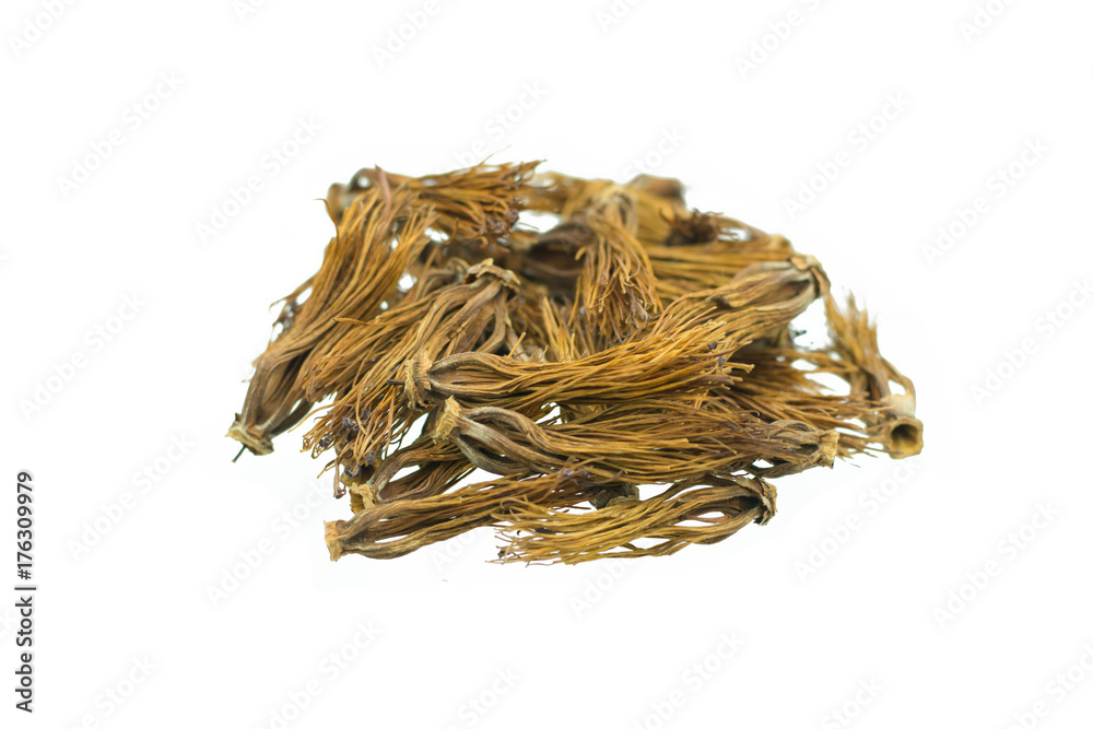 dried silk red cotton flowers isolated on white dried silk red cotton flowers isolated on white