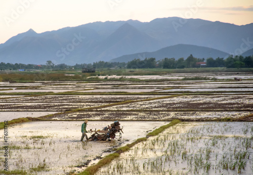 Asian farmer ploughing rice field with tractor machine photo