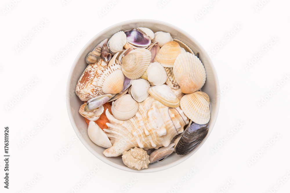 A bunch of beautiful shells of different shape and color in white plate on white background