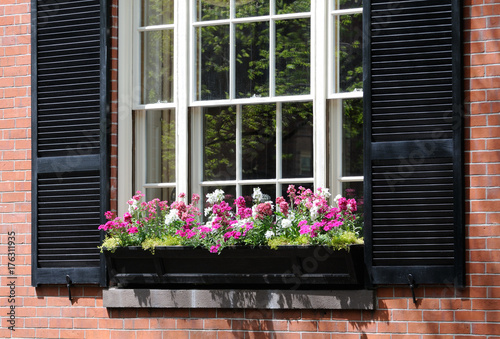 Window Box Detail