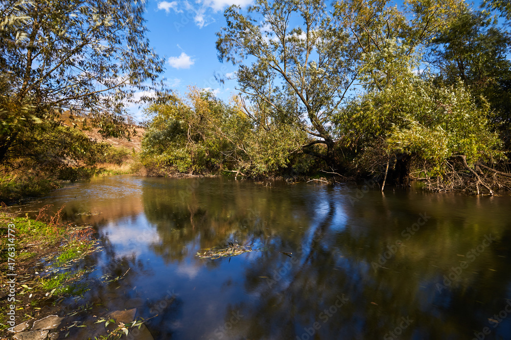 Early autumn landscape. Wild river flowing along the banks, densely overgrown with bushes and trees.