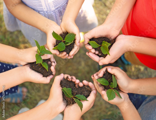 Children holding sprouts with soil in hands, outdoors photo