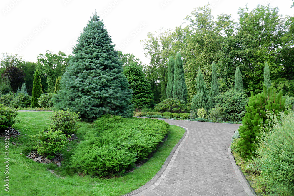 Beautiful green park on summer day