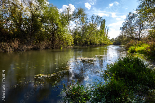 Early autumn landscape. Wild river flowing along the banks, densely overgrown with bushes and trees.
