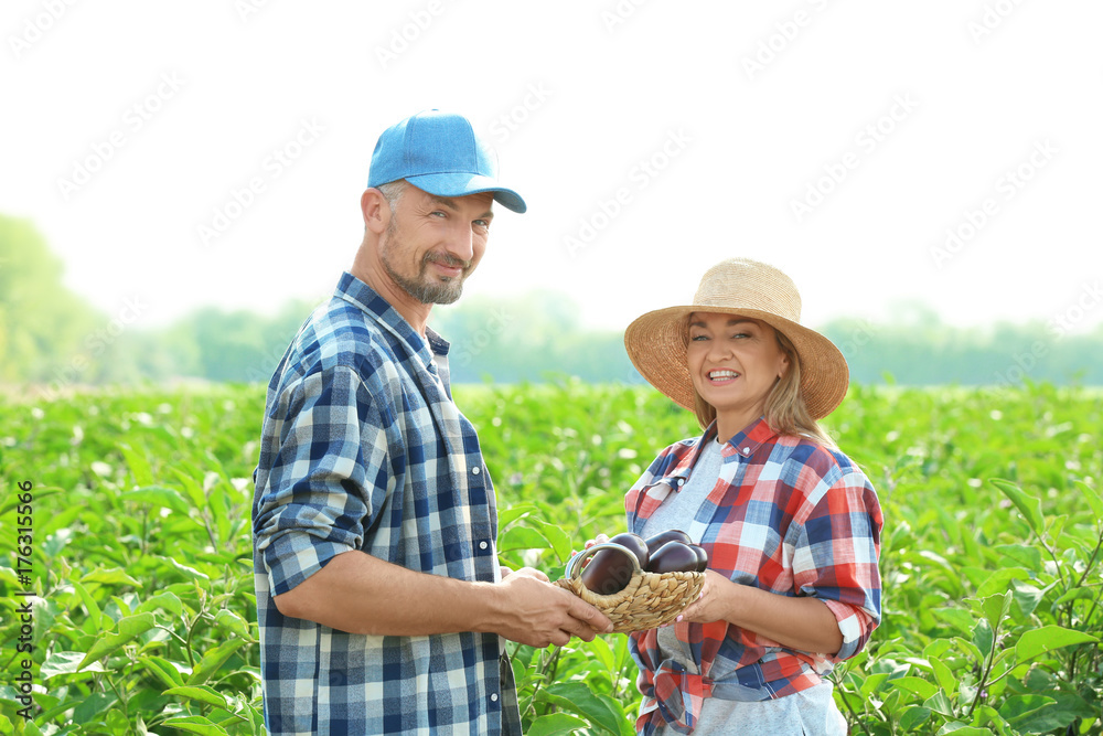 Two farmers in field on sunny day Two farmers in field on sunny day