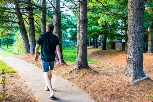 Sidewalk with row of trees in orange mulch in suburban neighborhood with path and young man walking