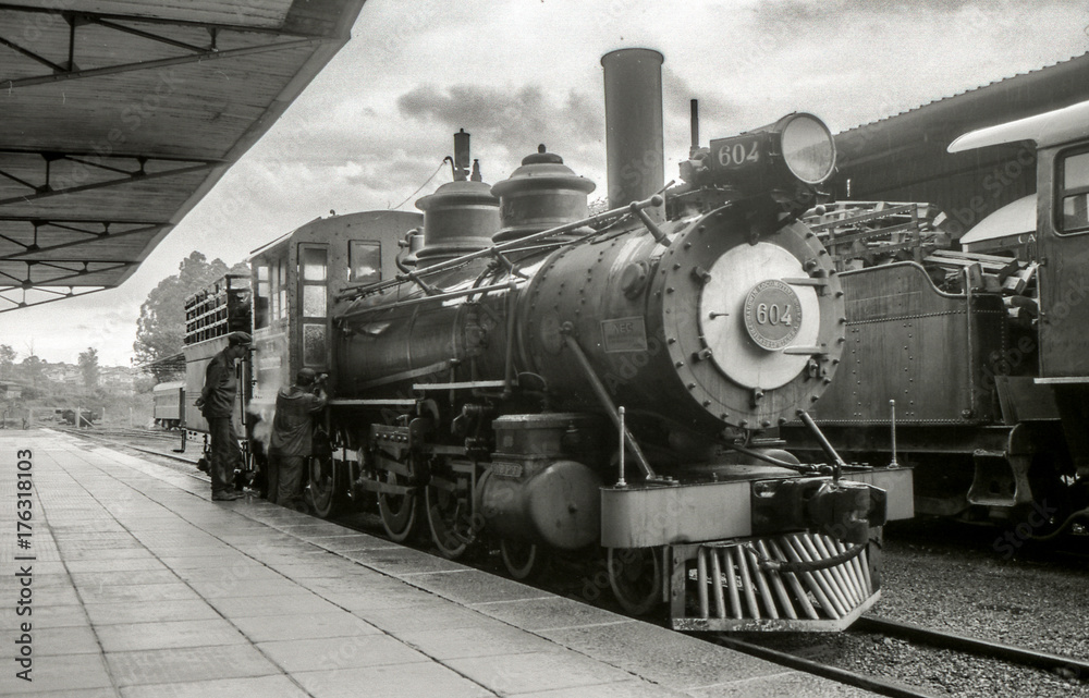 Fototapeta premium Brazylia