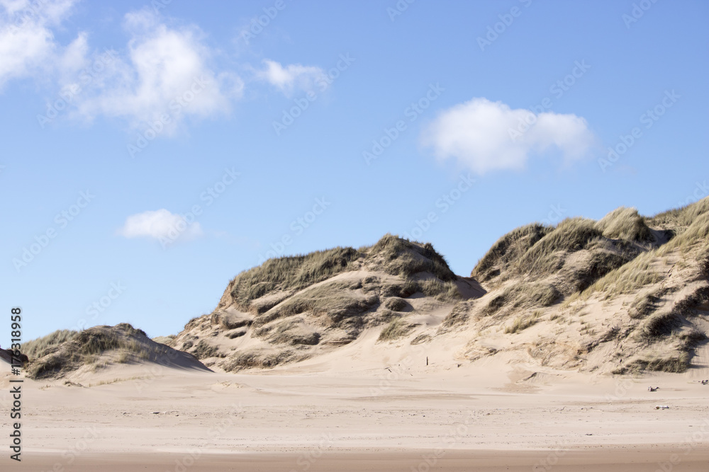 Grassy Sand Dunes at Newburgh Beach in front of Blue Sky