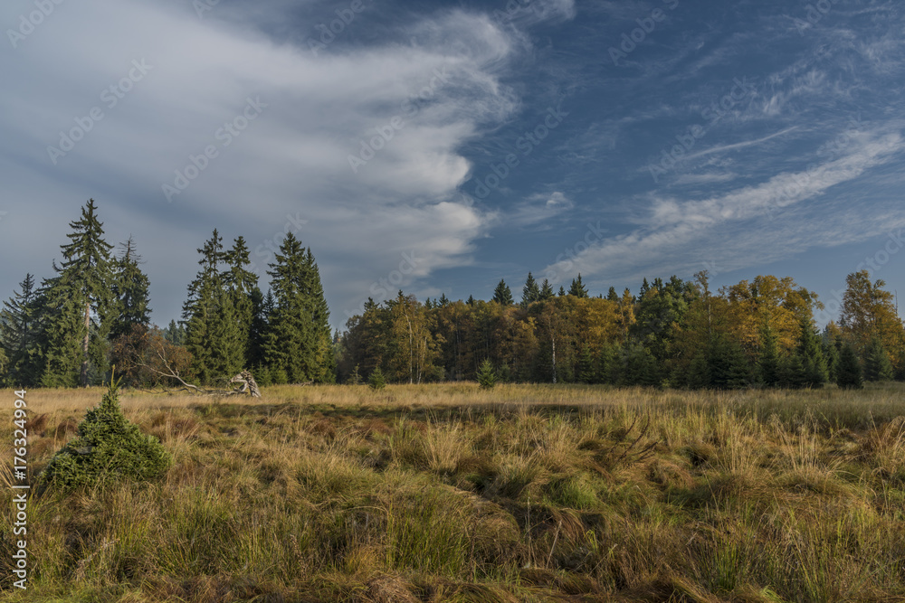 Blue morning near Kladska pond in autumn time