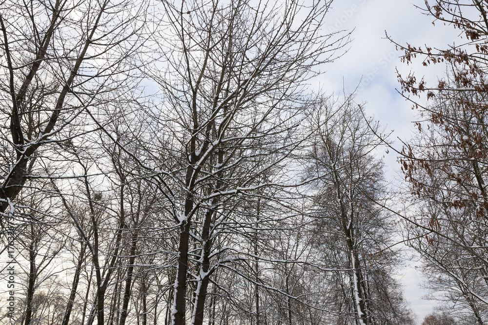 Snow drifts in winter Snow drifts in winter