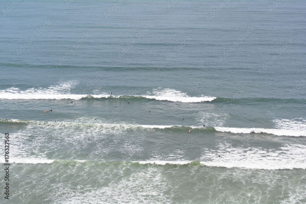 Surfers Surfers