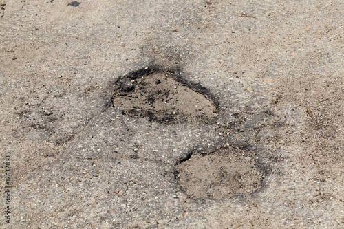 Obraz na płótnie two potholes