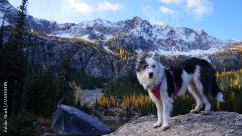 Exploring Washington State, The Great Pacific Northwest