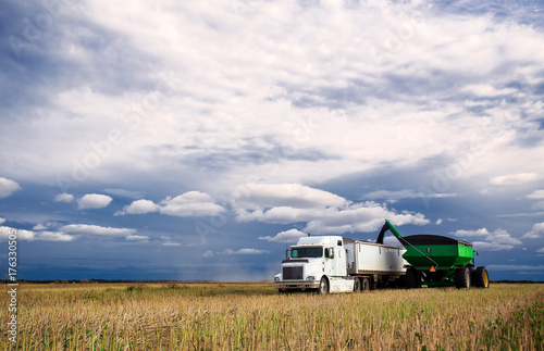 A tractor and grain cart unloading canola seed into a semi truck and trailer in a harvested field under blue cloudy sky in a autumn countryside landscape