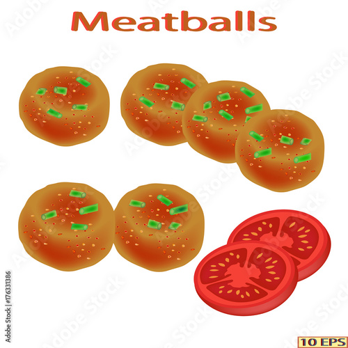 Fried cutlet. Meatballs, onion and lettuce. Meat rissoles. Green vegetables, tomato and meat rissole.  Vector illustration.