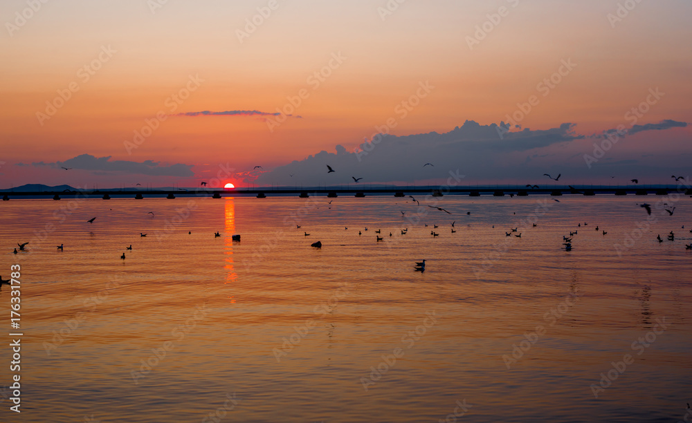 Sunset over calm sea. Few gulls on the sea surface.