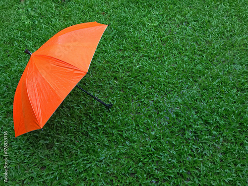 Orange umbrella on green grass