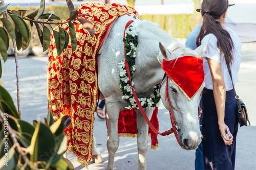 Bild auf Leinwand White horse with with yellow and red pattern fabric, flower necklace and red turban for Indian wedding ceremony in Bangkok, Thailand
