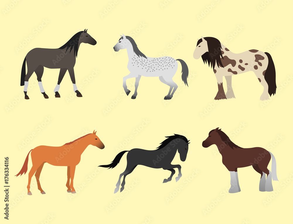 Horse pony stallion isolated different breeds color farm equestrian animal characters vector illustration.