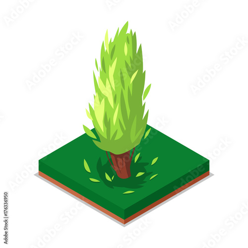 Green poplar tree isometric 3D icon. Public park decorative tree and green grass vector illustration. Nature map element for summer parkland landscape design.