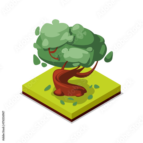 Green beech tree isometric 3D icon. Public park decorative tree and green grass vector illustration. Nature map element for summer parkland landscape design.