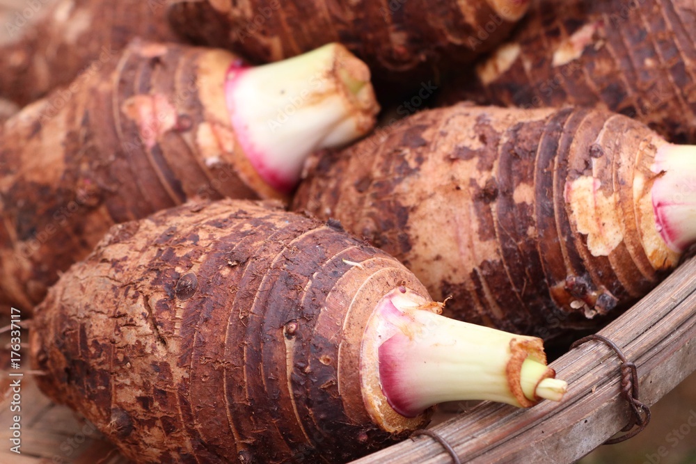 organic taro at street food