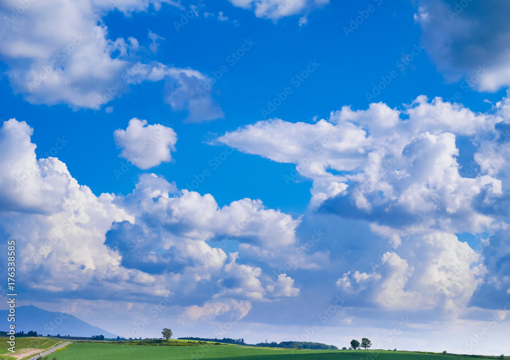 Obraz premium 北海道 美瑛町 パッチワーク 丘のまち