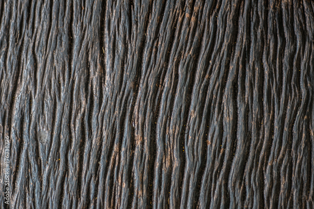 Natural dried wood texture dark background. Natural dried wood texture dark background.