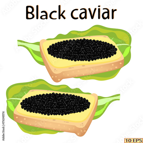 Black caviar. Sandwich with sturgeon caviar isolated on white background.  Vector illustration.