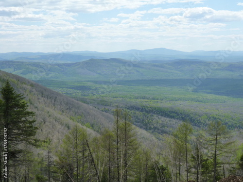 Far Eastern forest in the spring