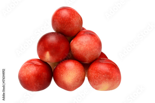 A pile of apricot hybrids
