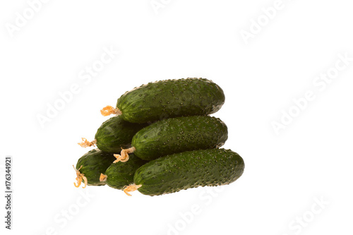 A pile of Mirinda cucumbers photo