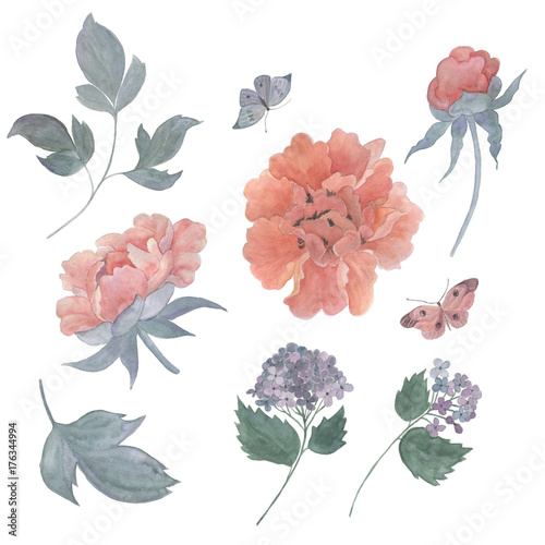 Watercolor painting flower and leaves isolated on white. Design for invitation, wedding or greeting cards. Chinese style