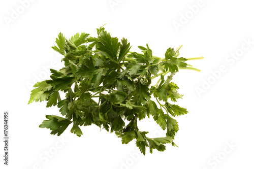 A branch of parsley