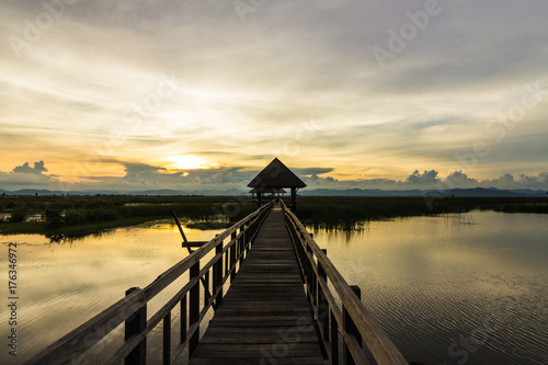 Sunset The lotus pond in Sam Roi Yot National Park Prachuap Khiri Khan