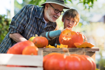Father teaching his son how to carve a pumpkin for halloween.