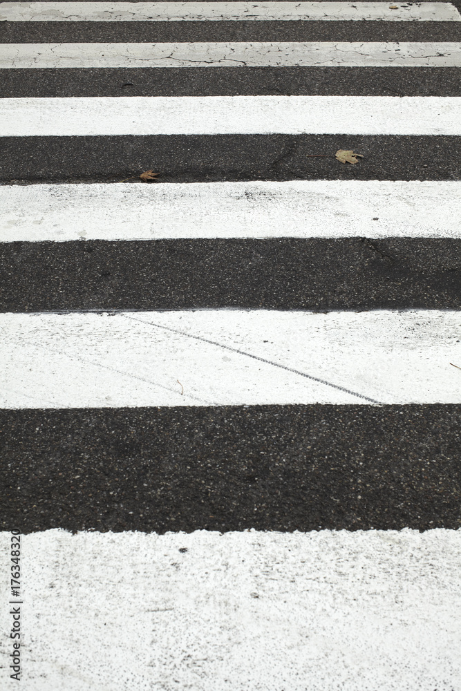 Fototapeta premium roadtexture and structure