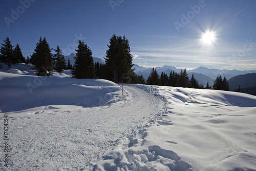 Winterlich verschneite Landschaft in den Alpen 
