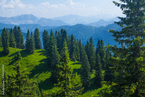 Green hills with pine trees and Alps on the horizon. Germany