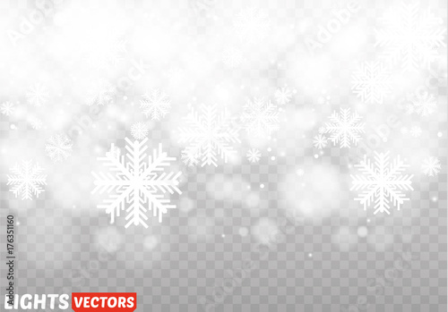 Winter with snow in transparent background
