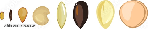 Set of diverse plant seeds on white background
