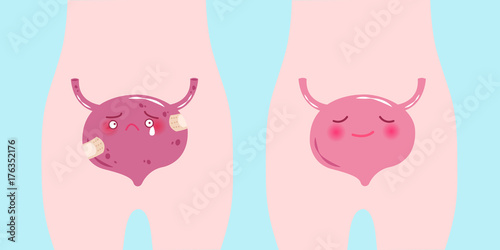 cute cartoon bladder