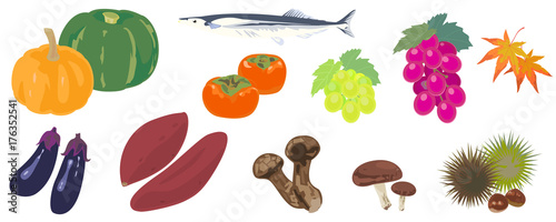 美味しい秋の食材