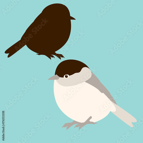  bird tit vector illustration  style flat black silhouette set