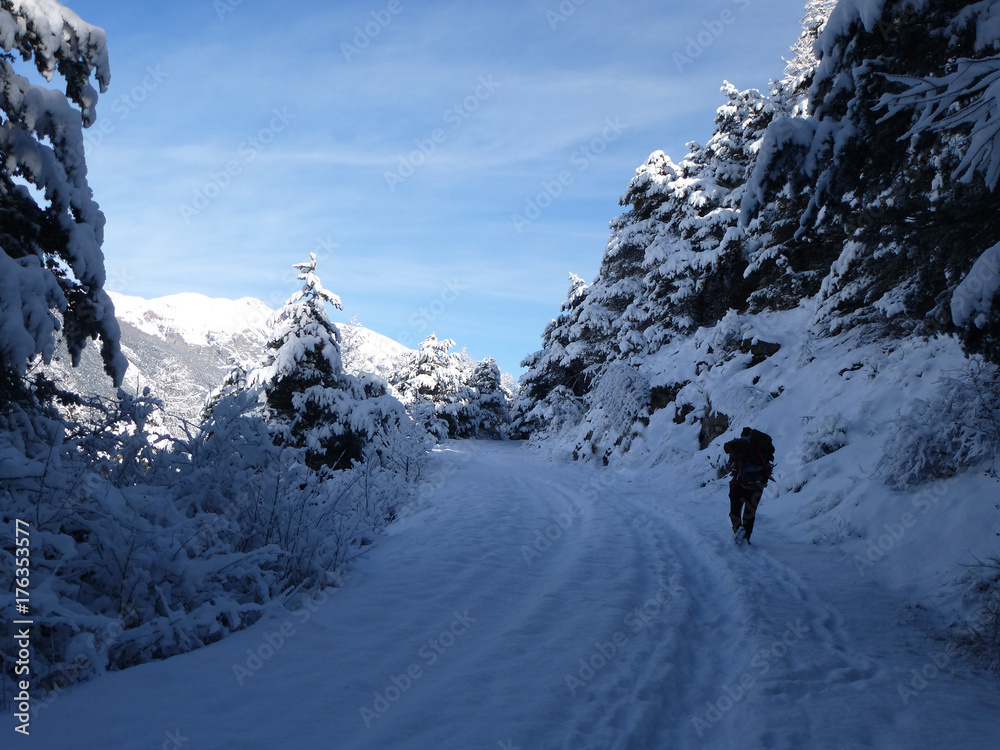Paysages de neige dans les Alpes - Embrun