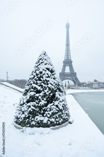 Fototapeta Naklejka Na Ścianę i Meble -  Eiffel tower and pine tree under the snow in winter in Paris, France