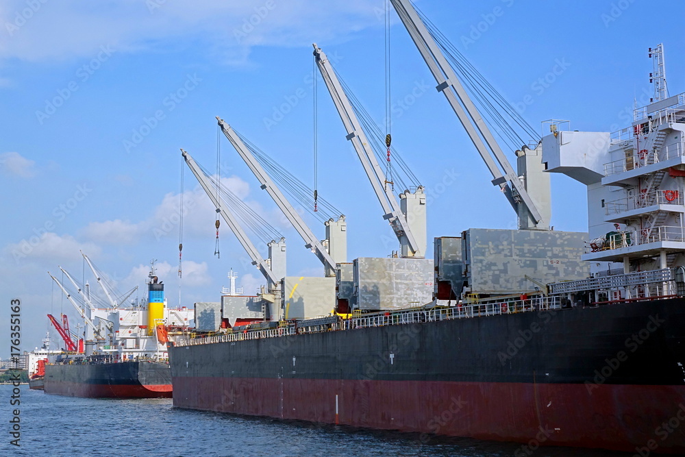 Large Ships with Loading Cranes