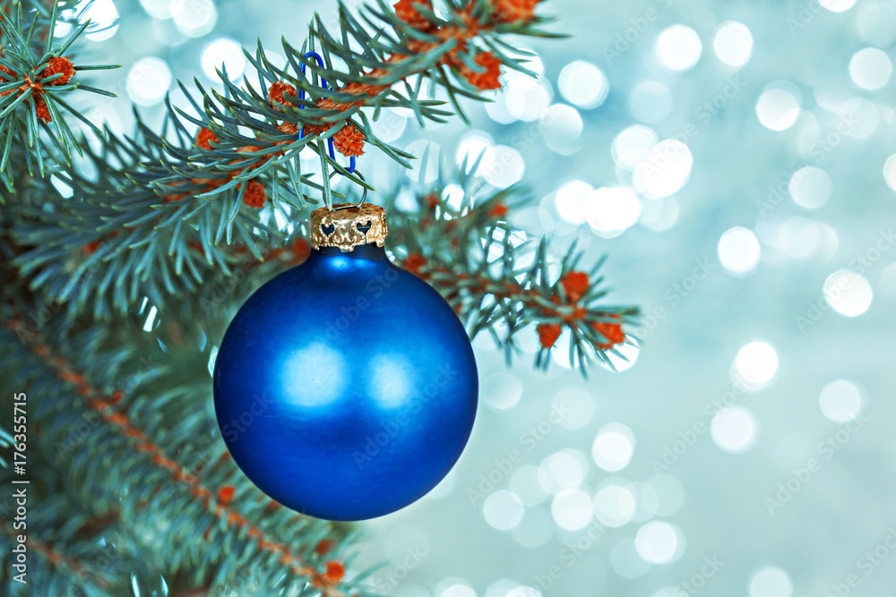 Obraz premium Christmas Decoration